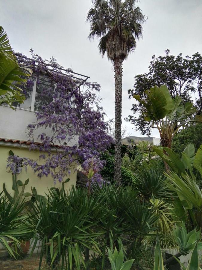 B&B La Salamandra Kitchengarden Forio di Ischia Exterior foto